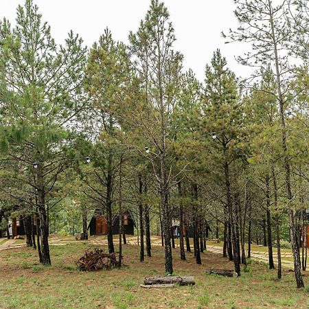 Chales Naturale - Campos Do Jordao - Cna 外观 照片