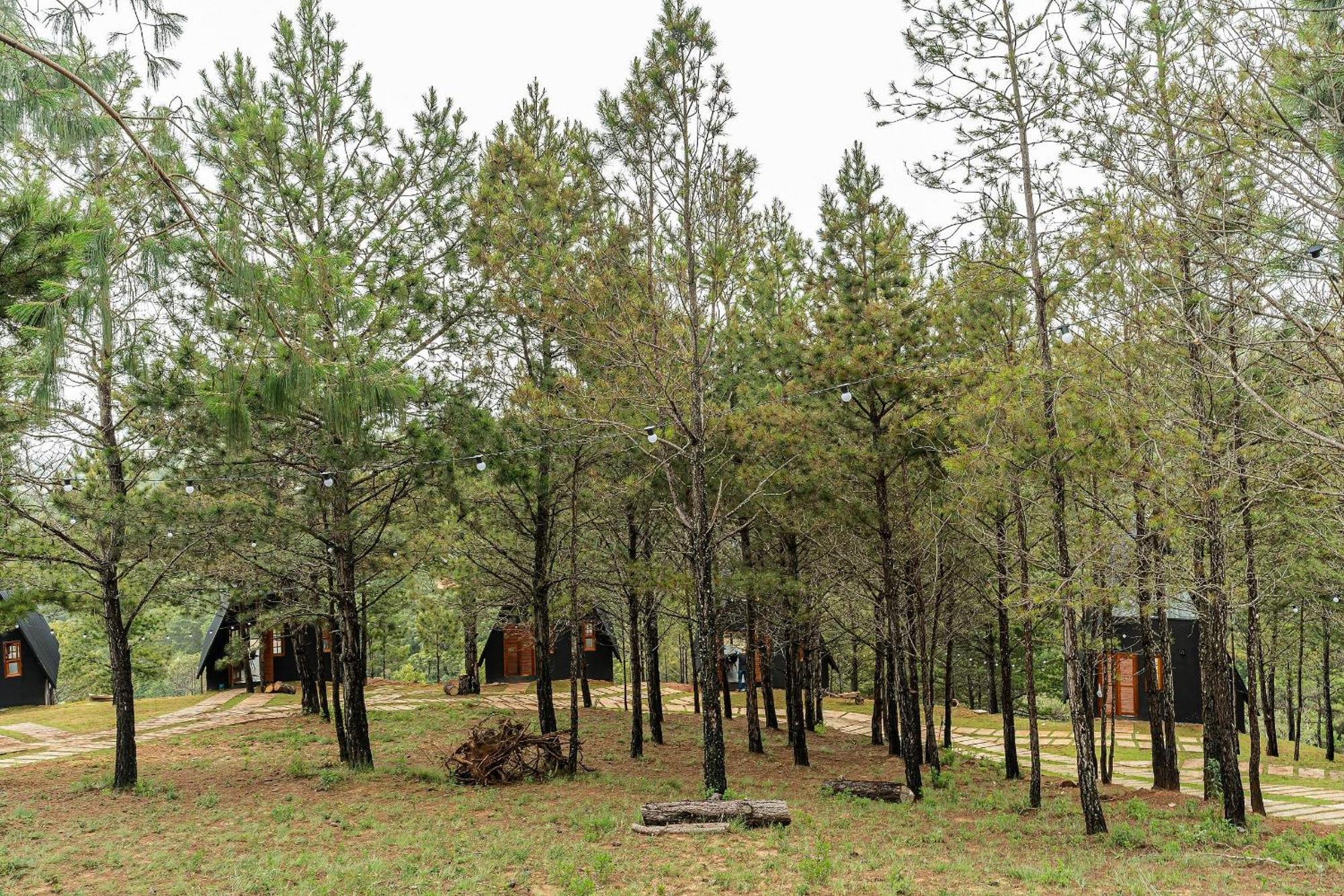 Chales Naturale - Campos Do Jordao - Cna 外观 照片